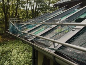 Jak chronić dach przed kunami