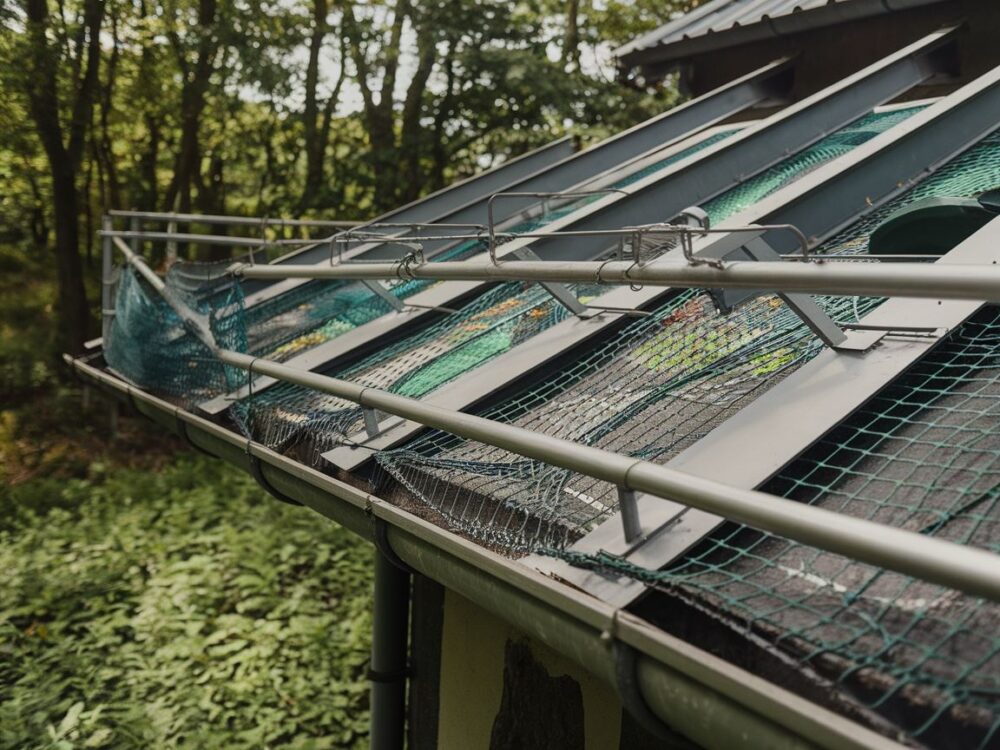 Jak chronić dach przed kunami