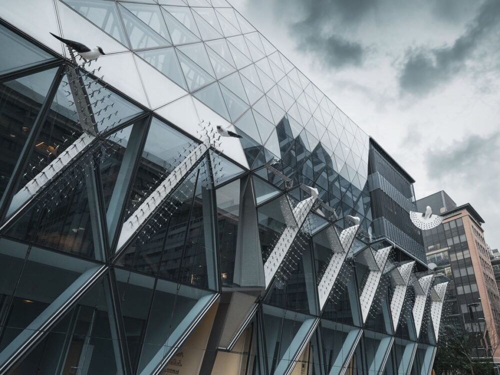 Jaskółki na elewacji