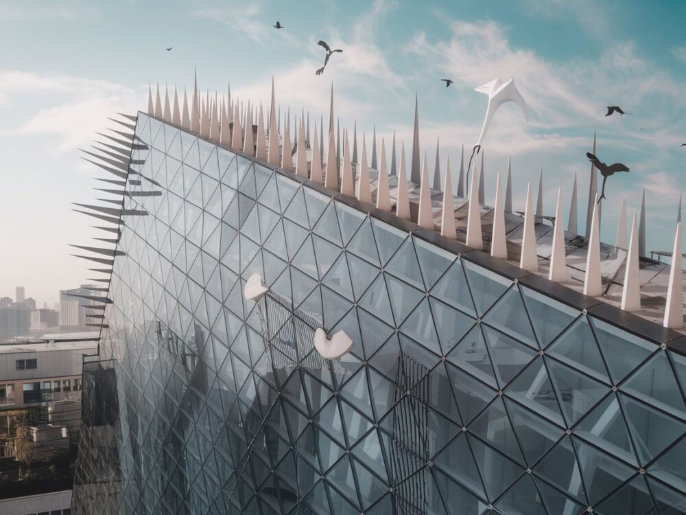 Ochrona ścian przed jaskółkami