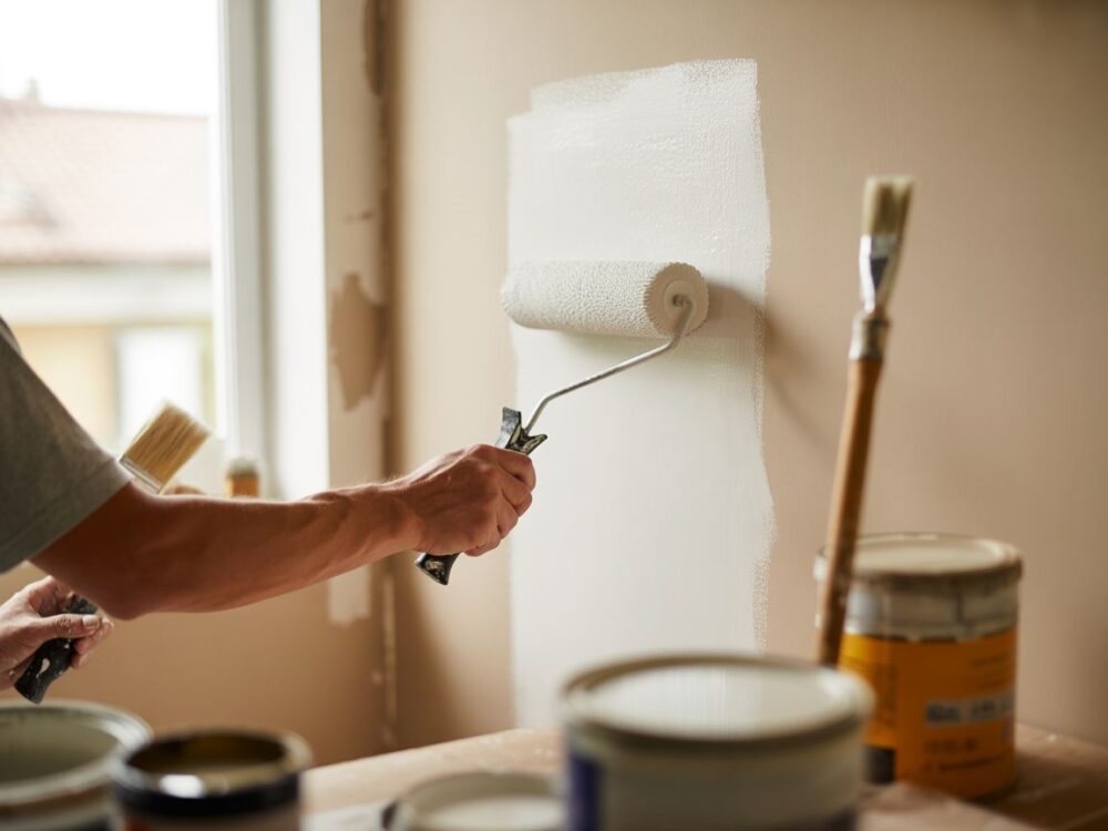 Profesjonalne malowanie ścian